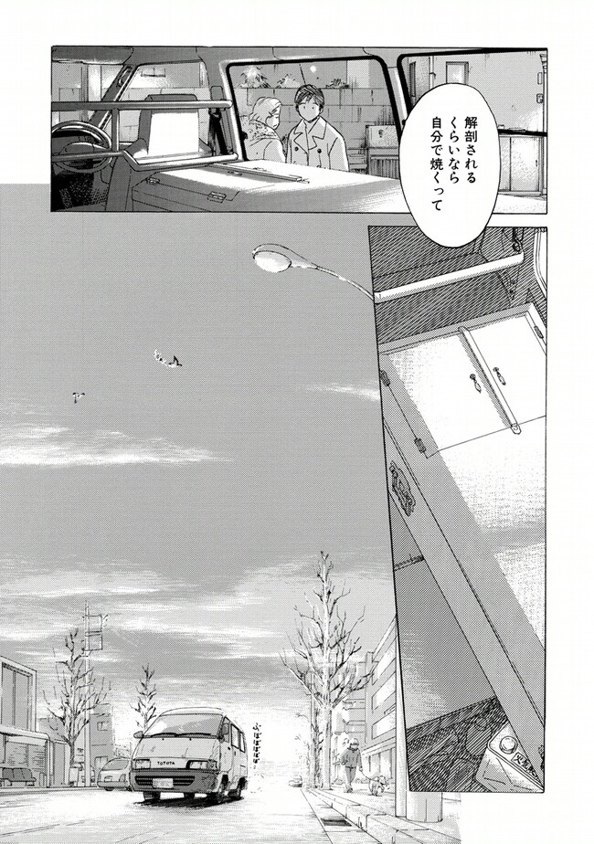 P53