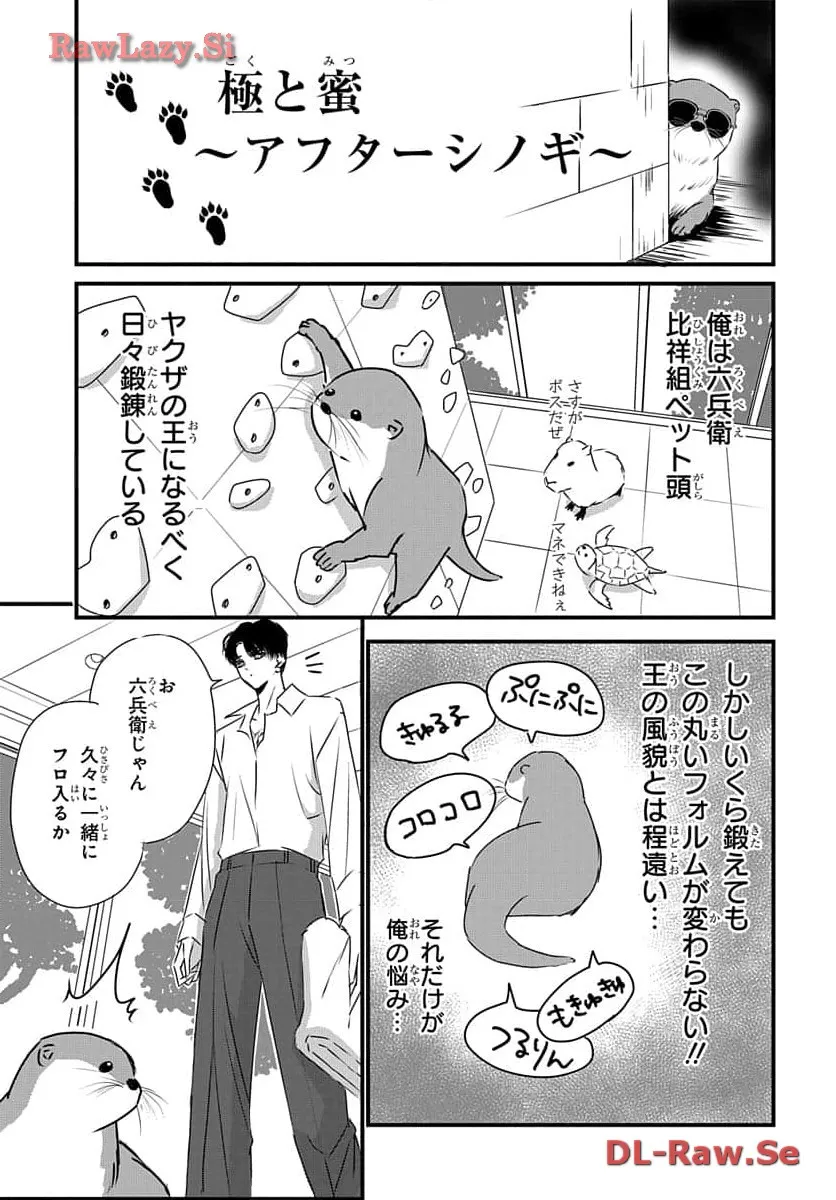 P41
