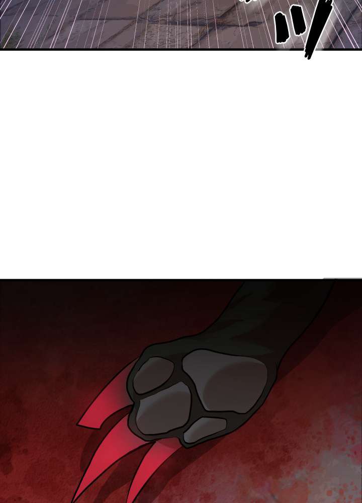 P62