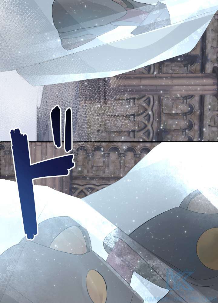 P85
