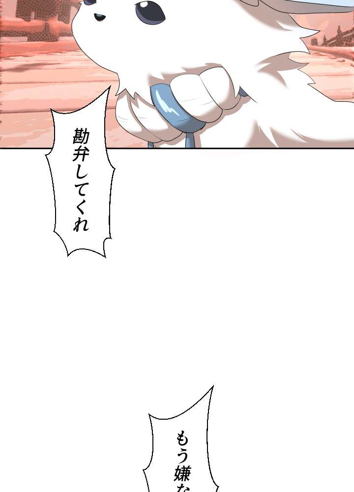 P62