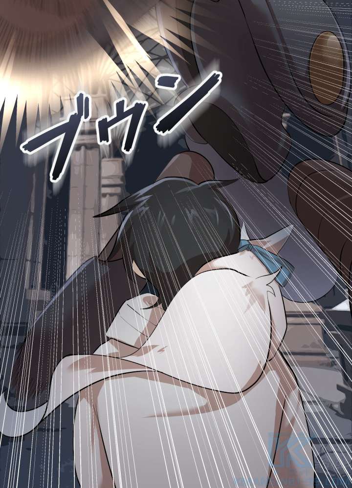 P61