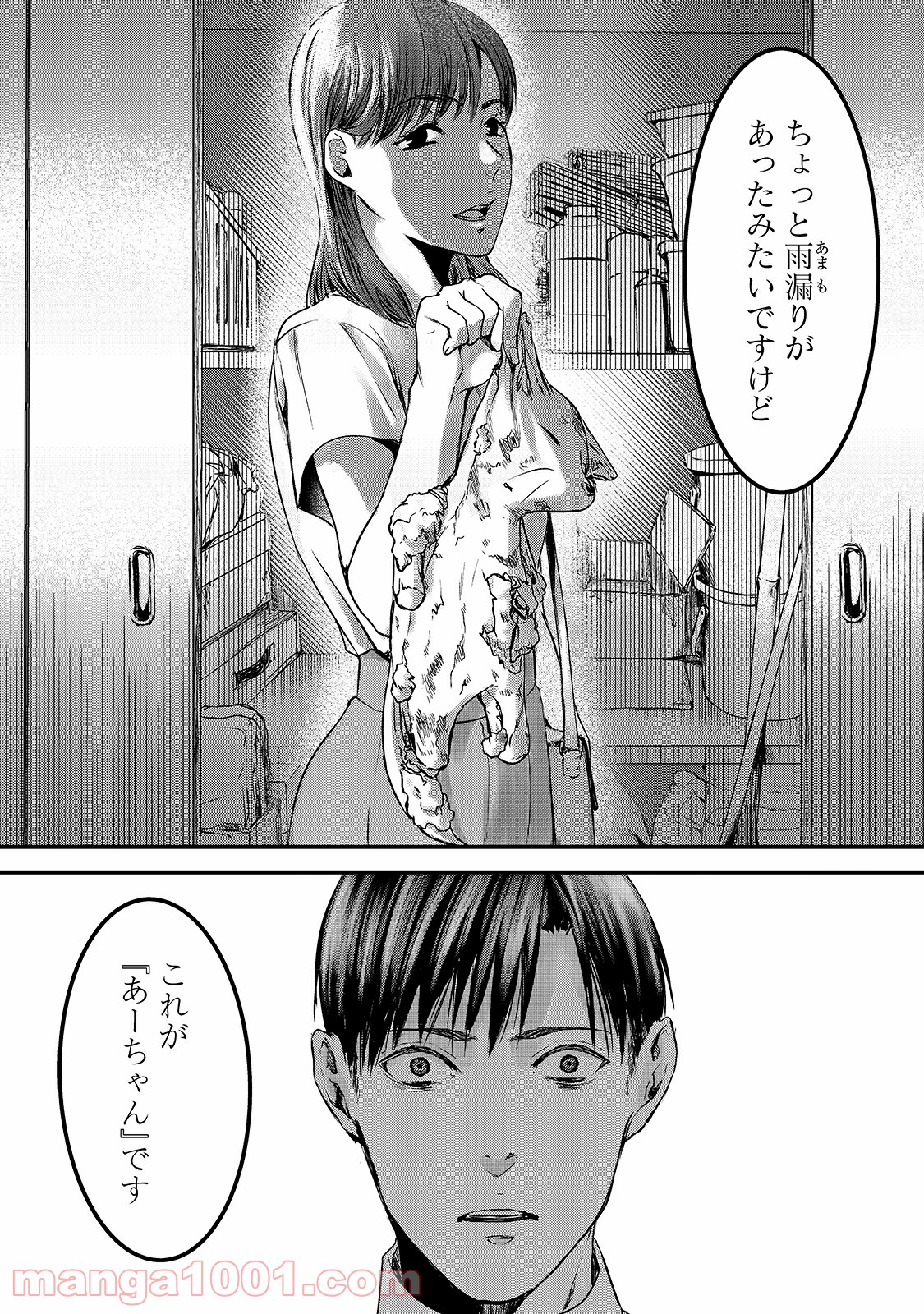 P23