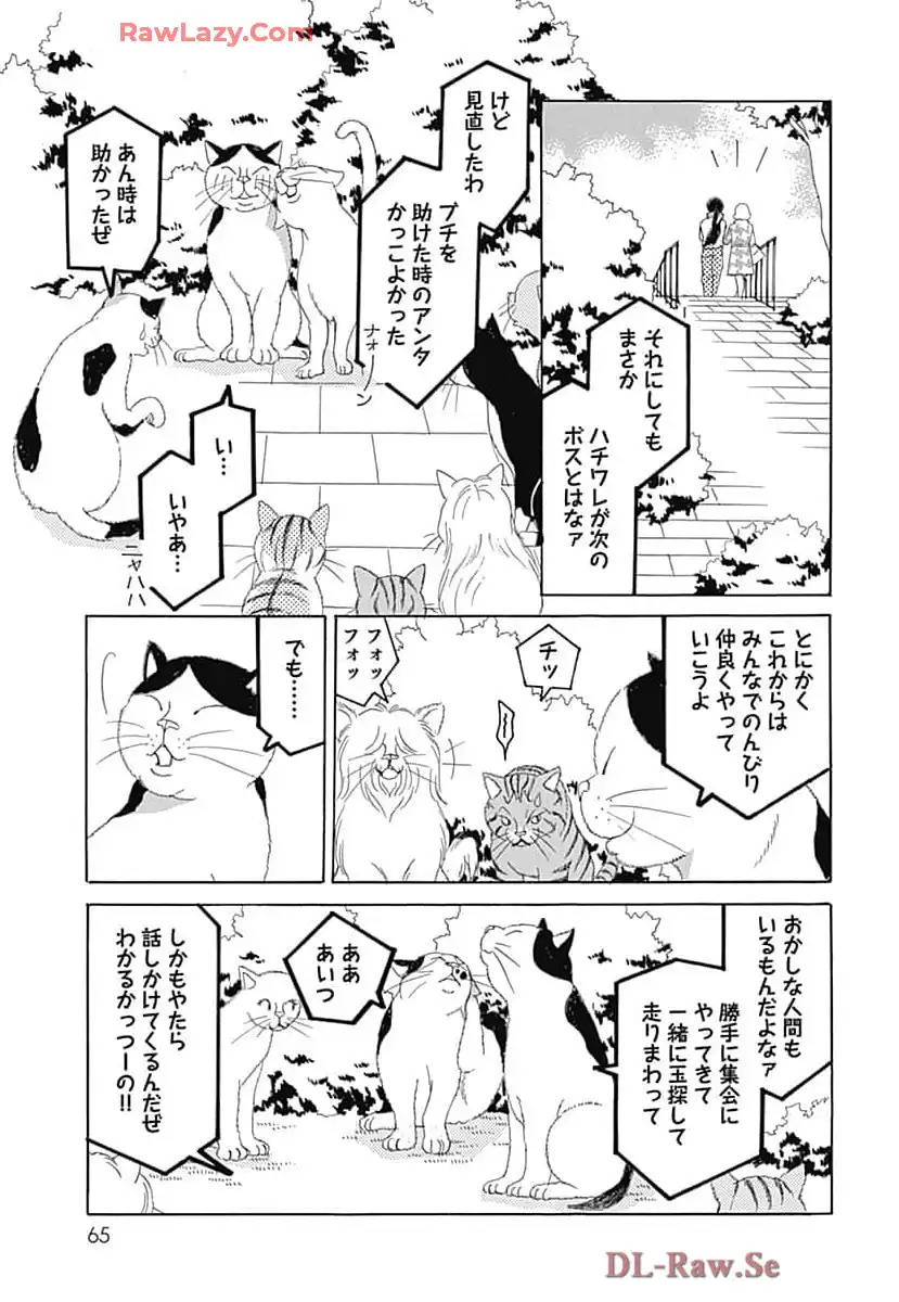 P21