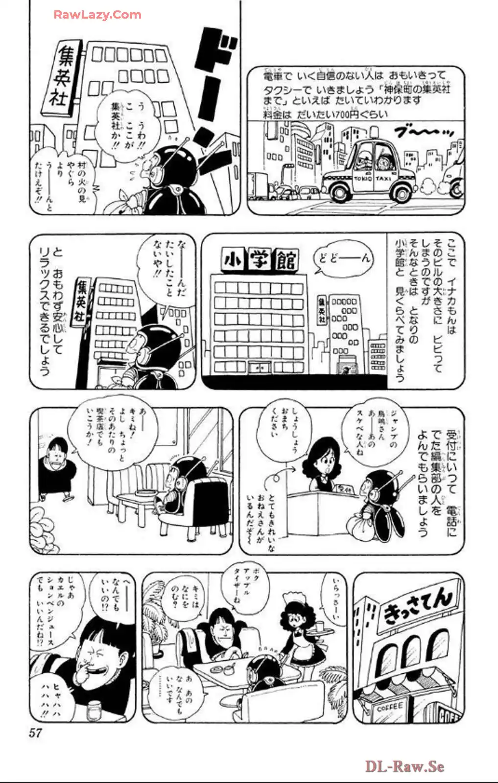 P53