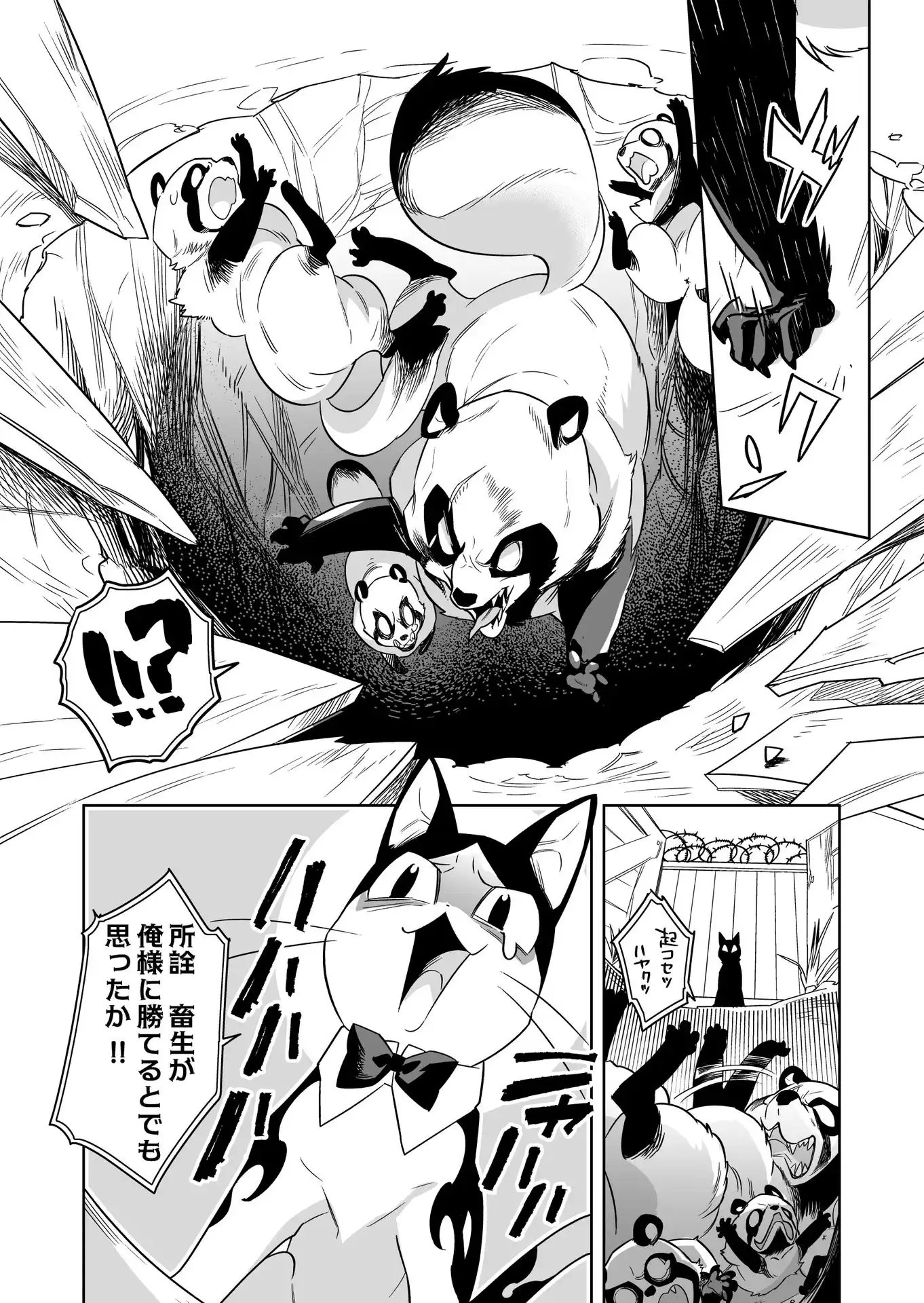 P12