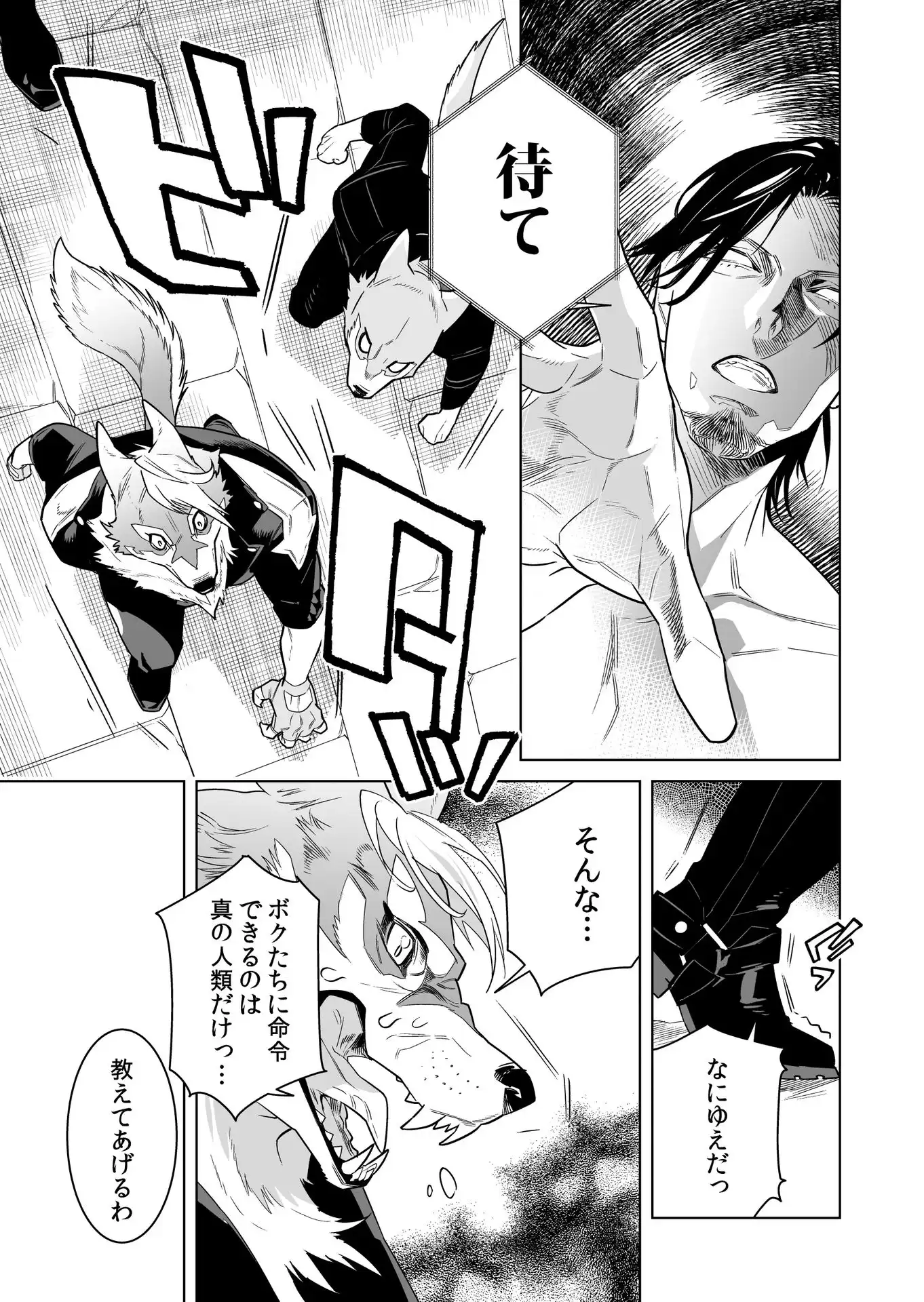 P11