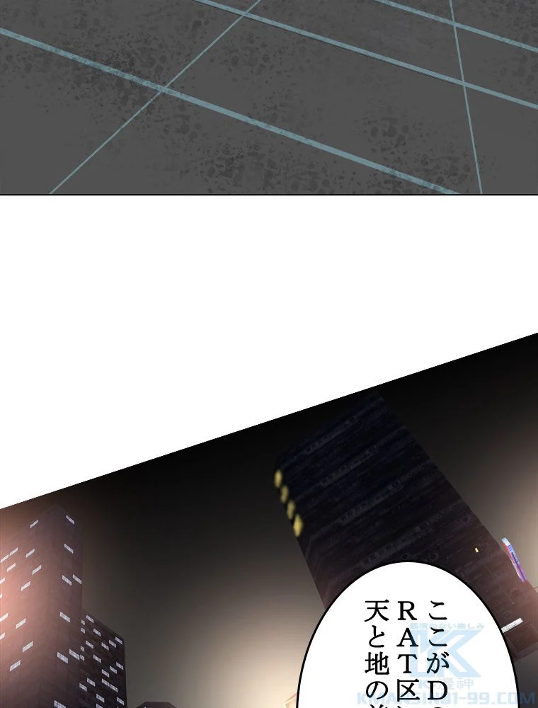 P65