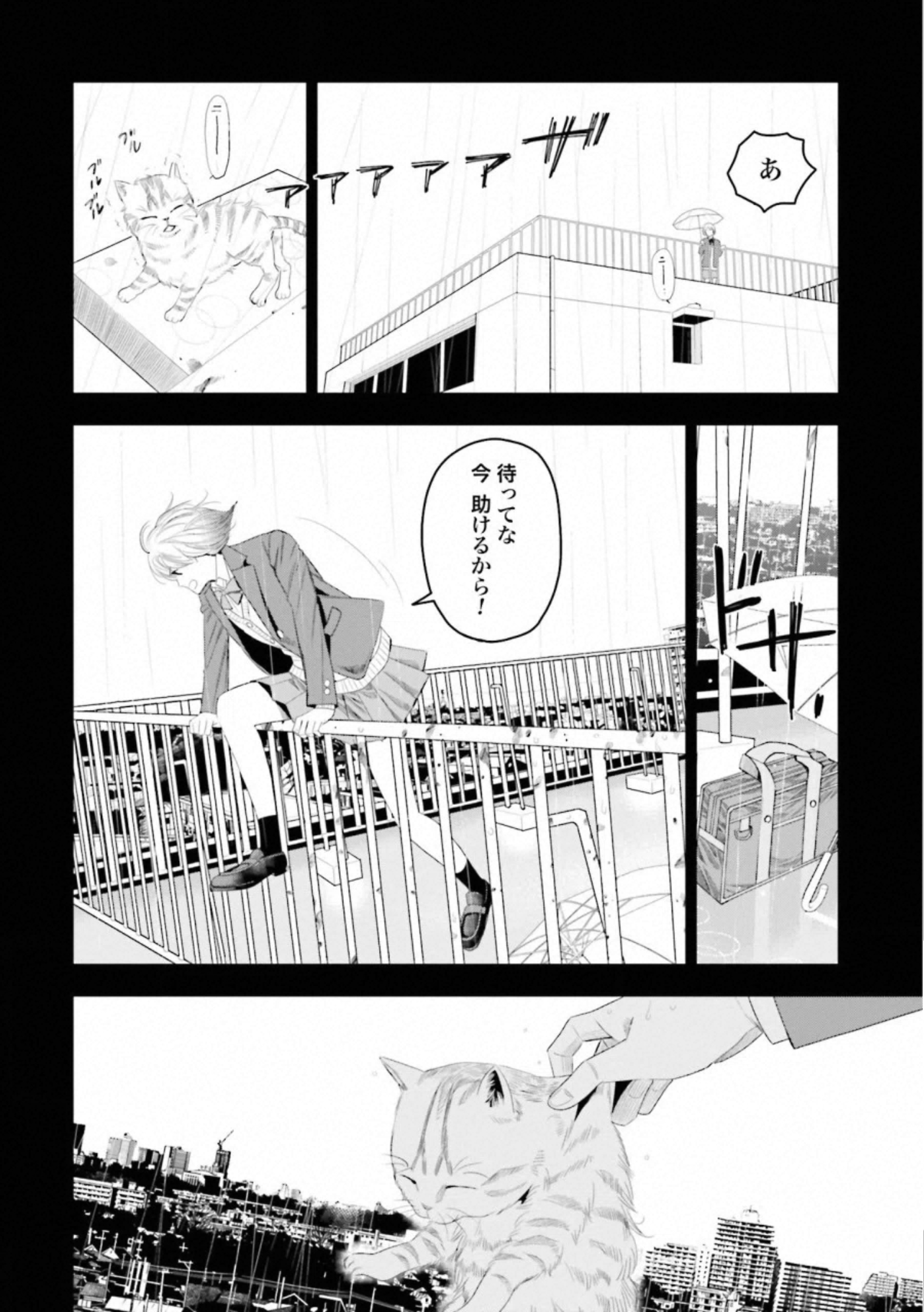 P54