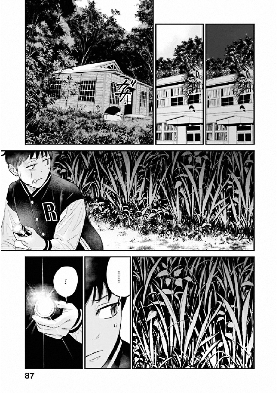 P29