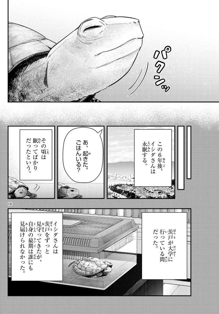P16