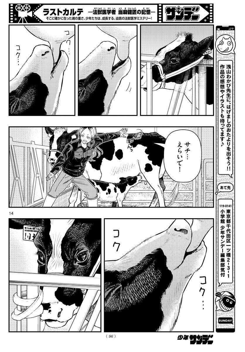 P14