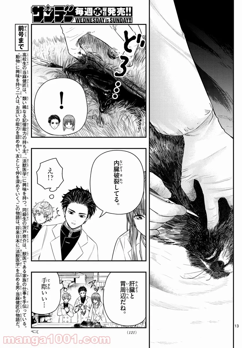 P13