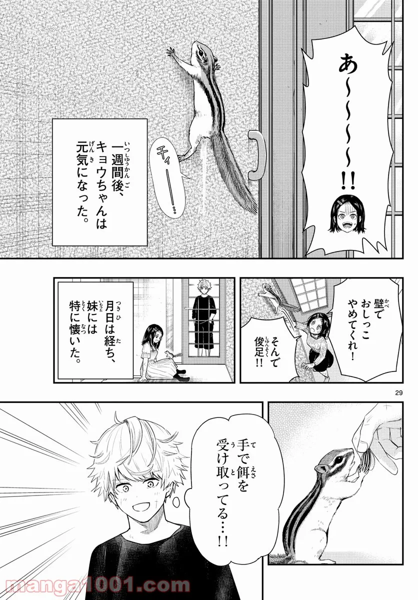 P29