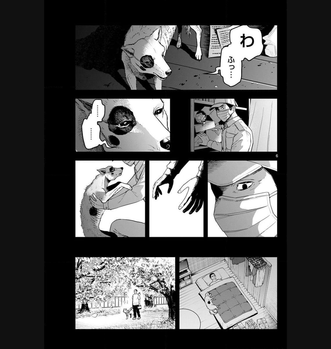 P6