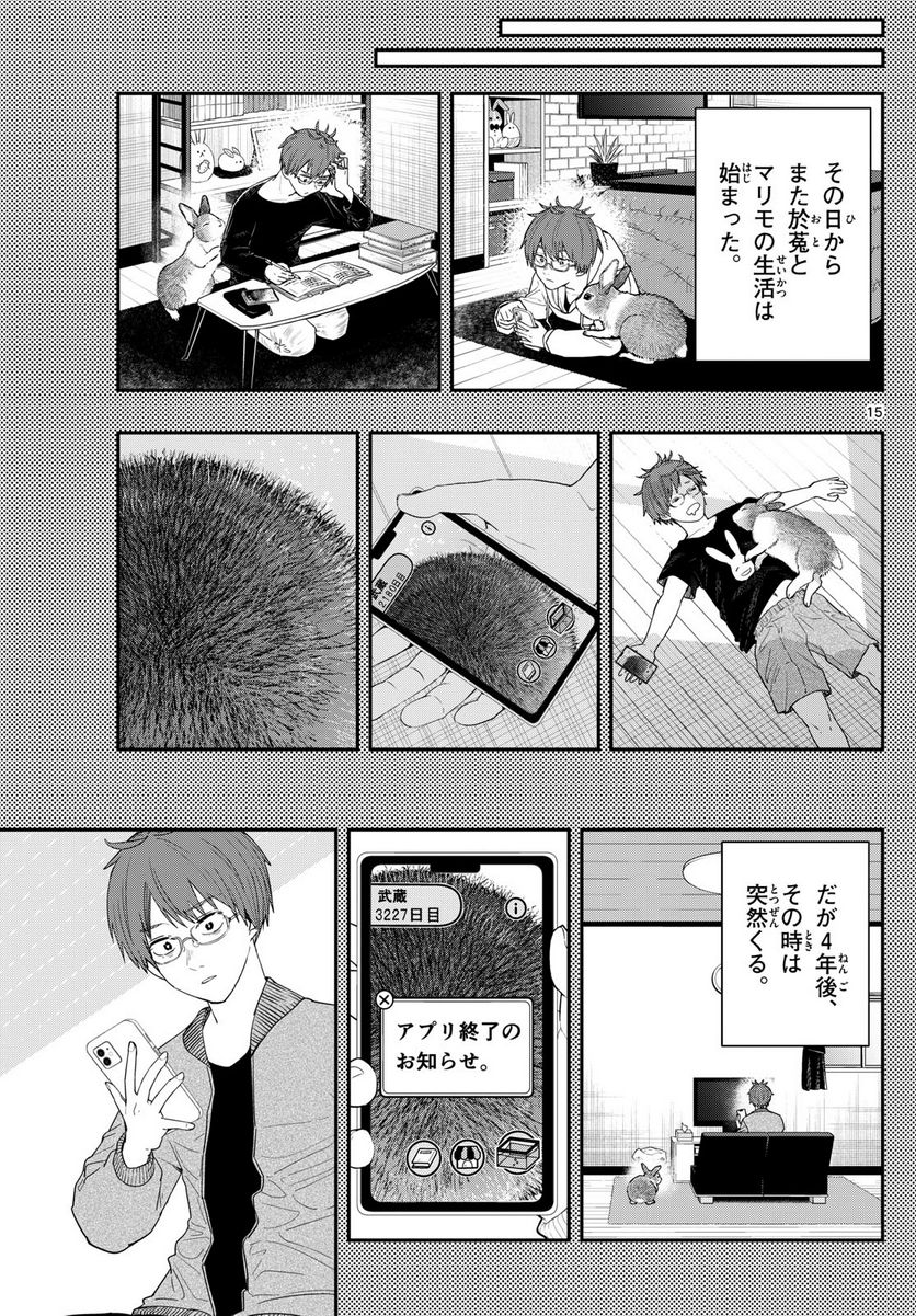 P15