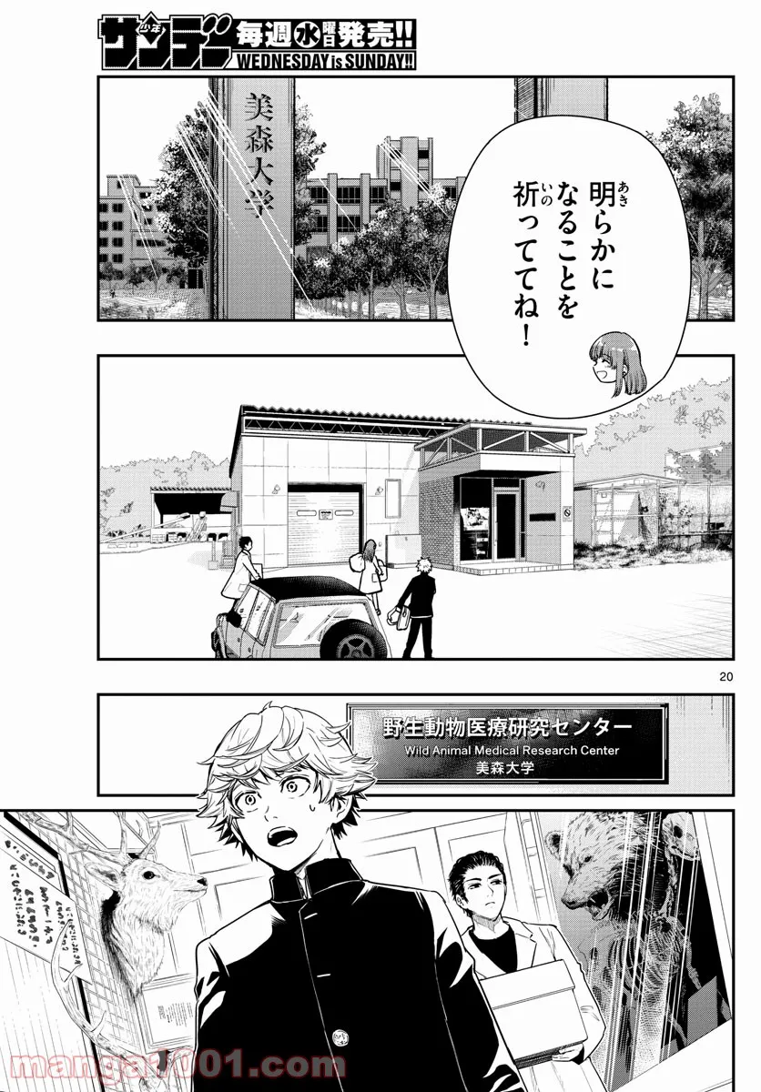 P20