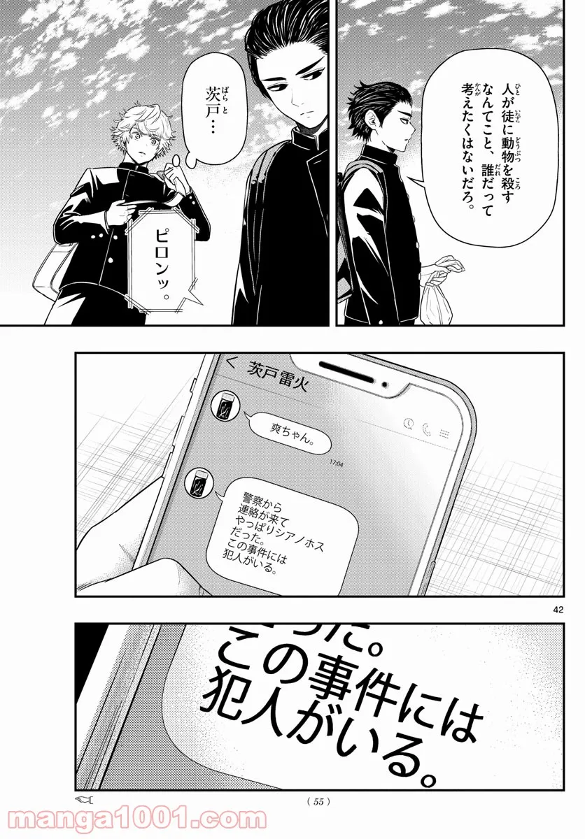 P42