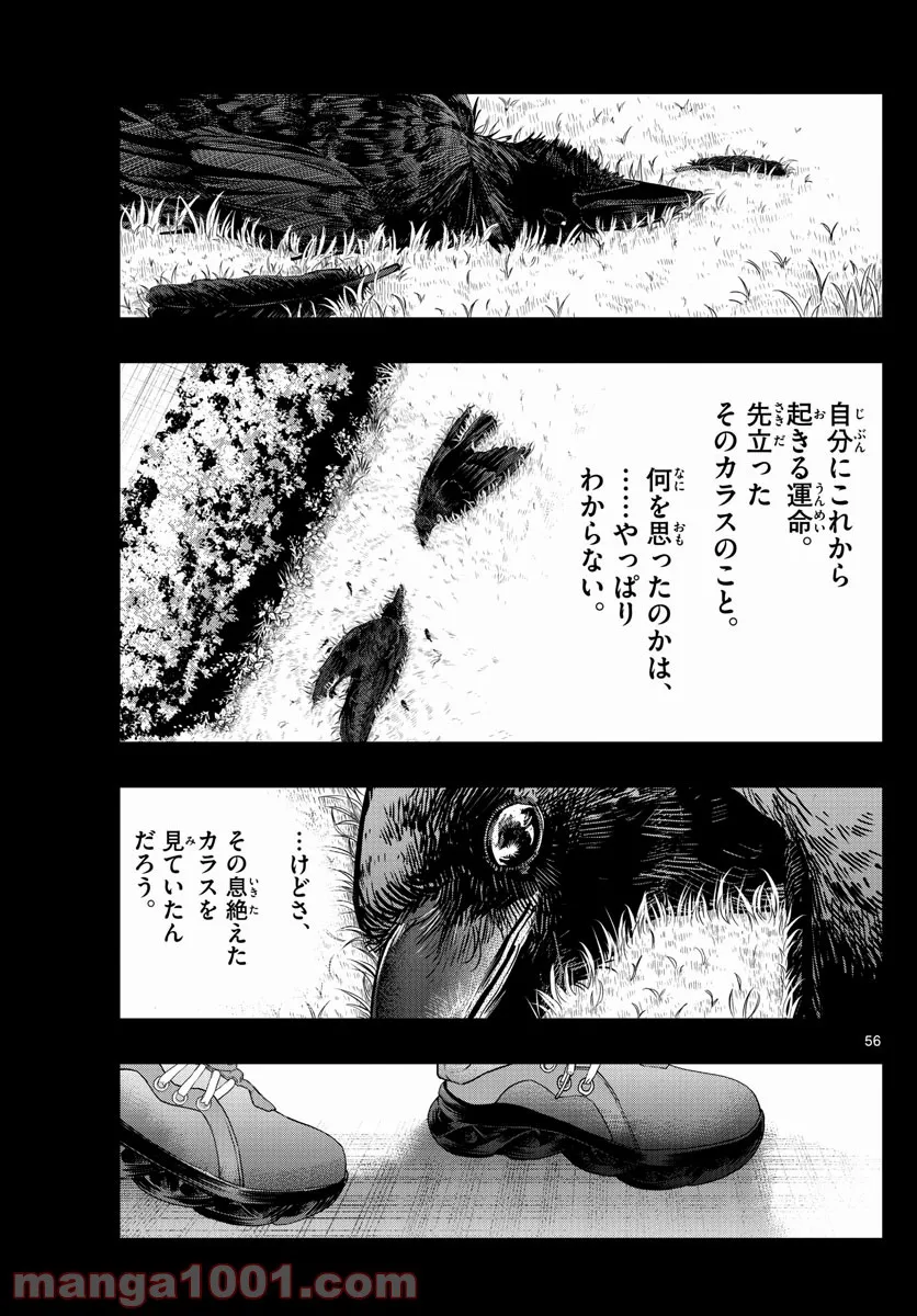 P56