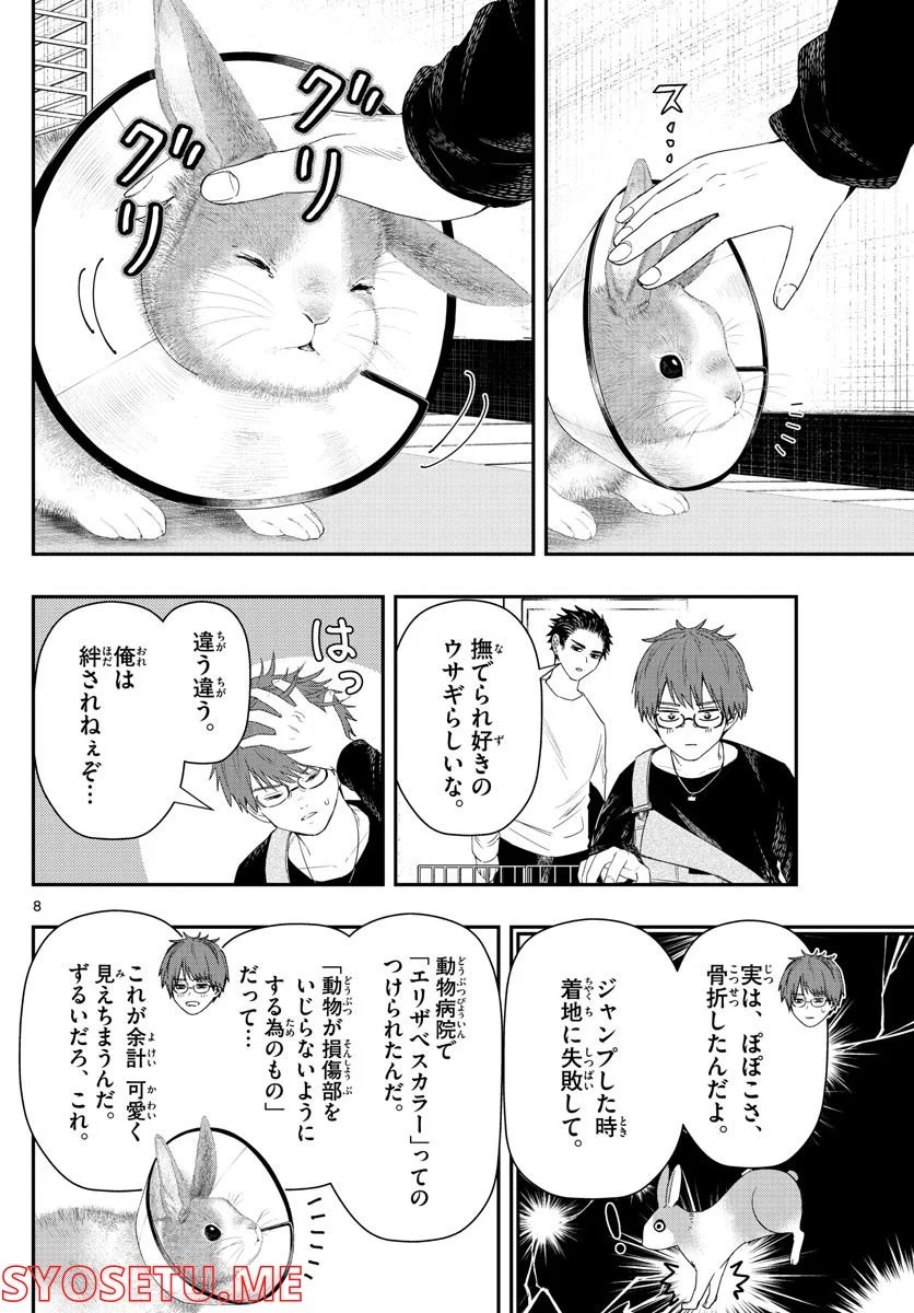 P8