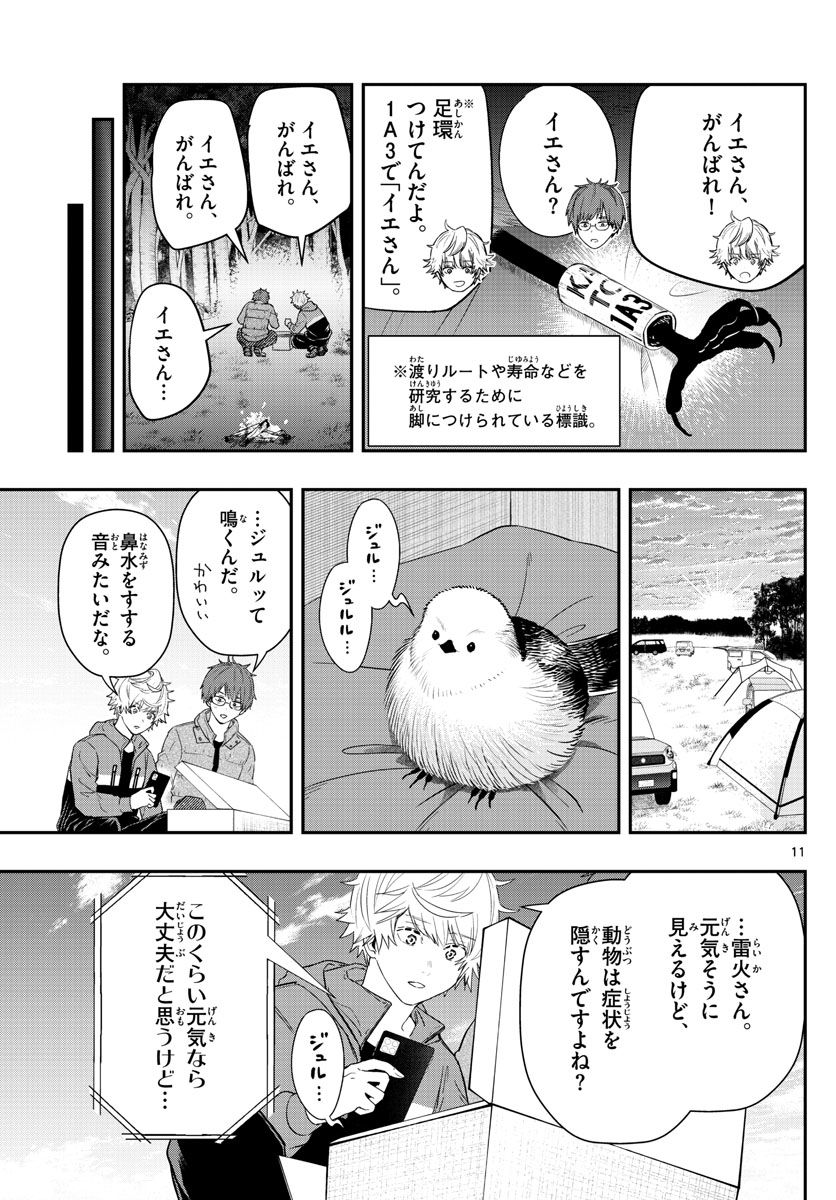 P11