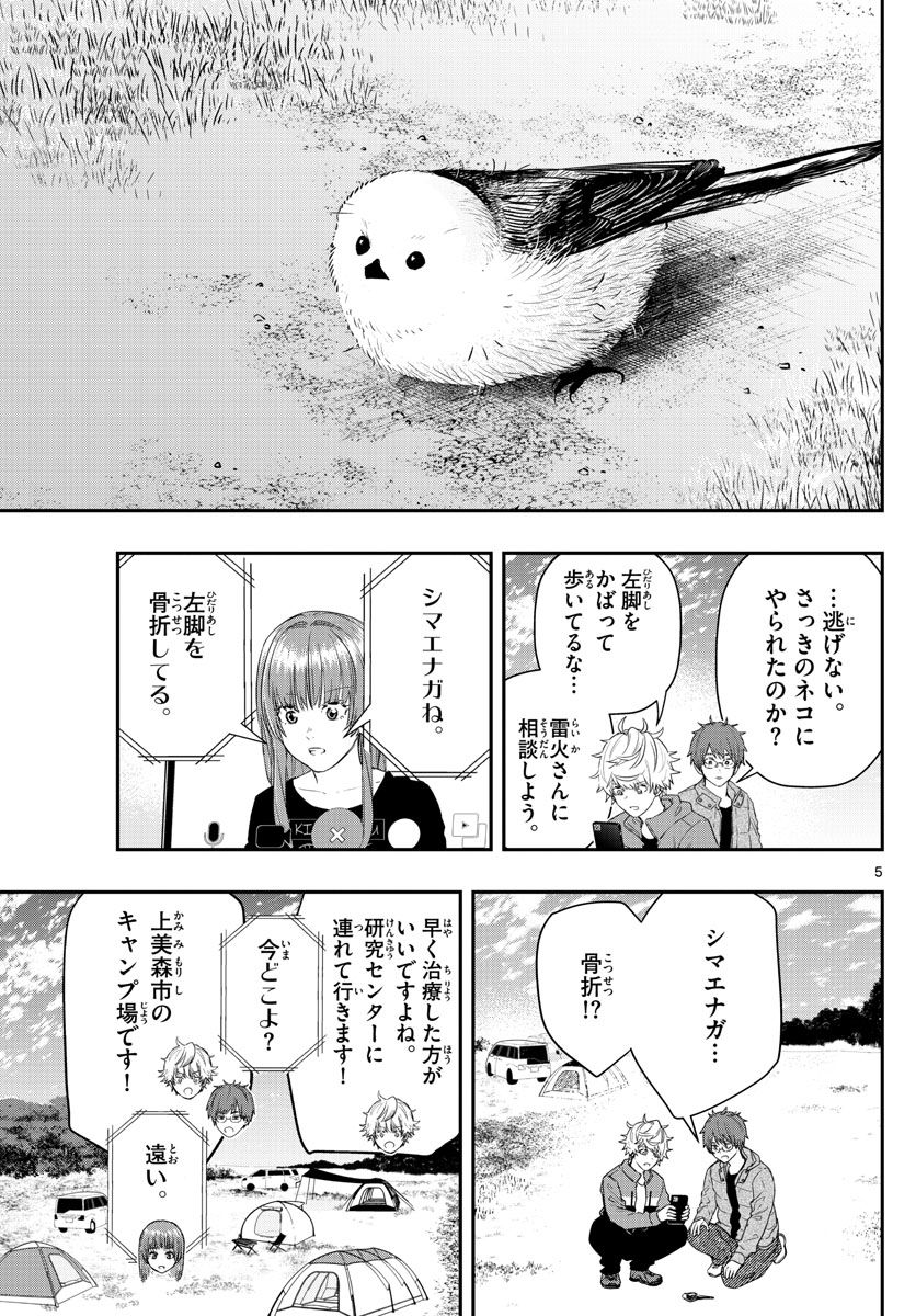 P5