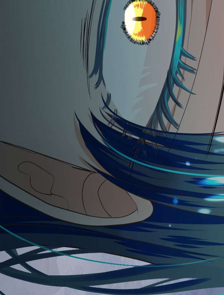 P63