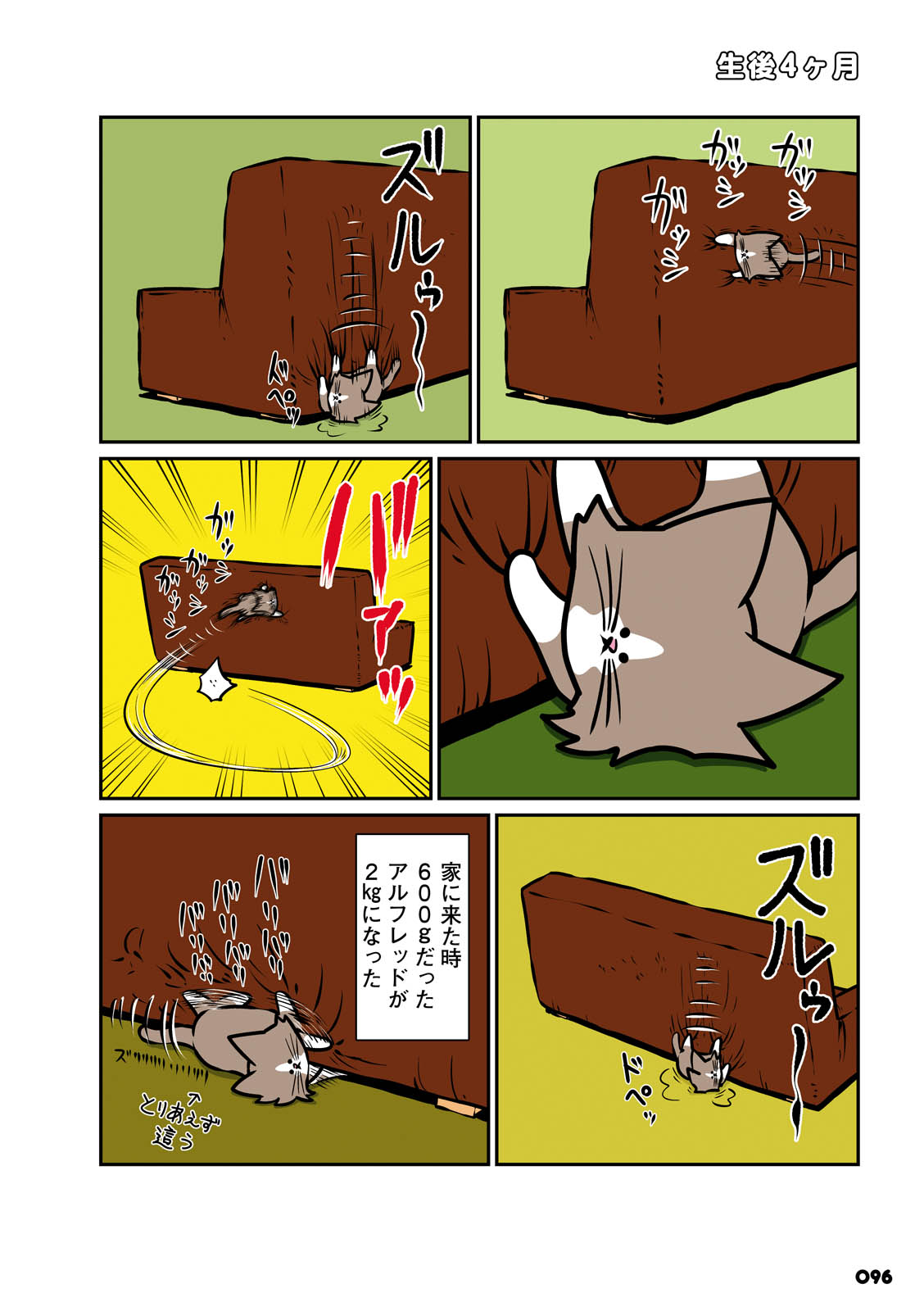 P29