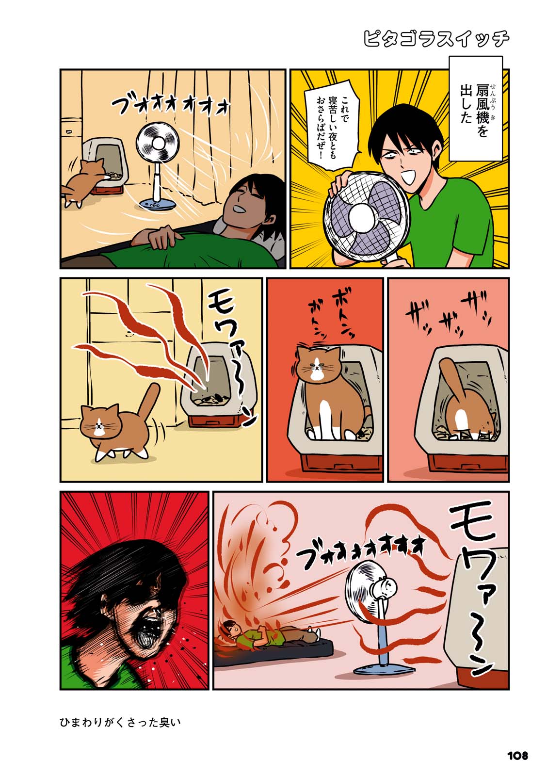 P29
