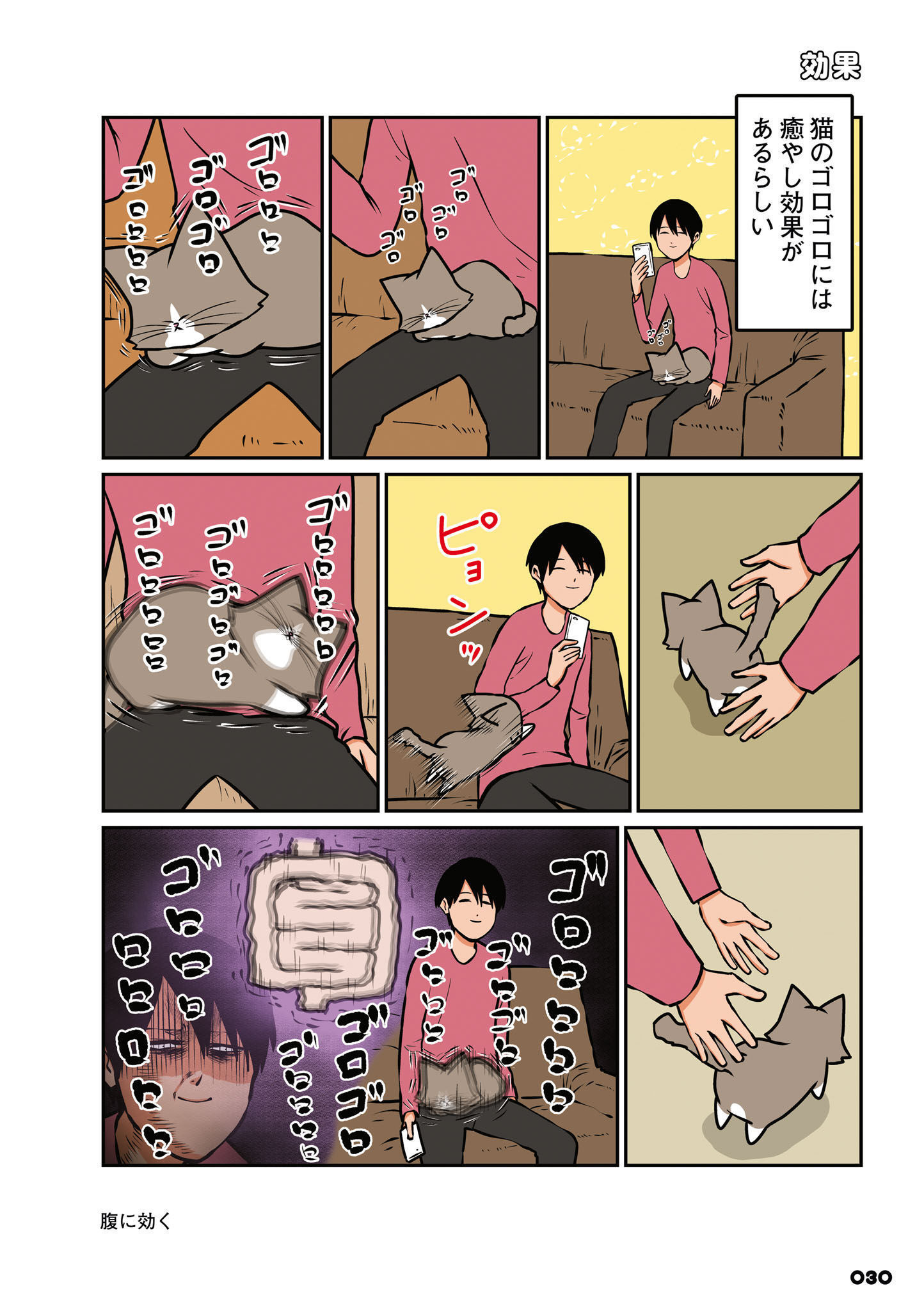 P25