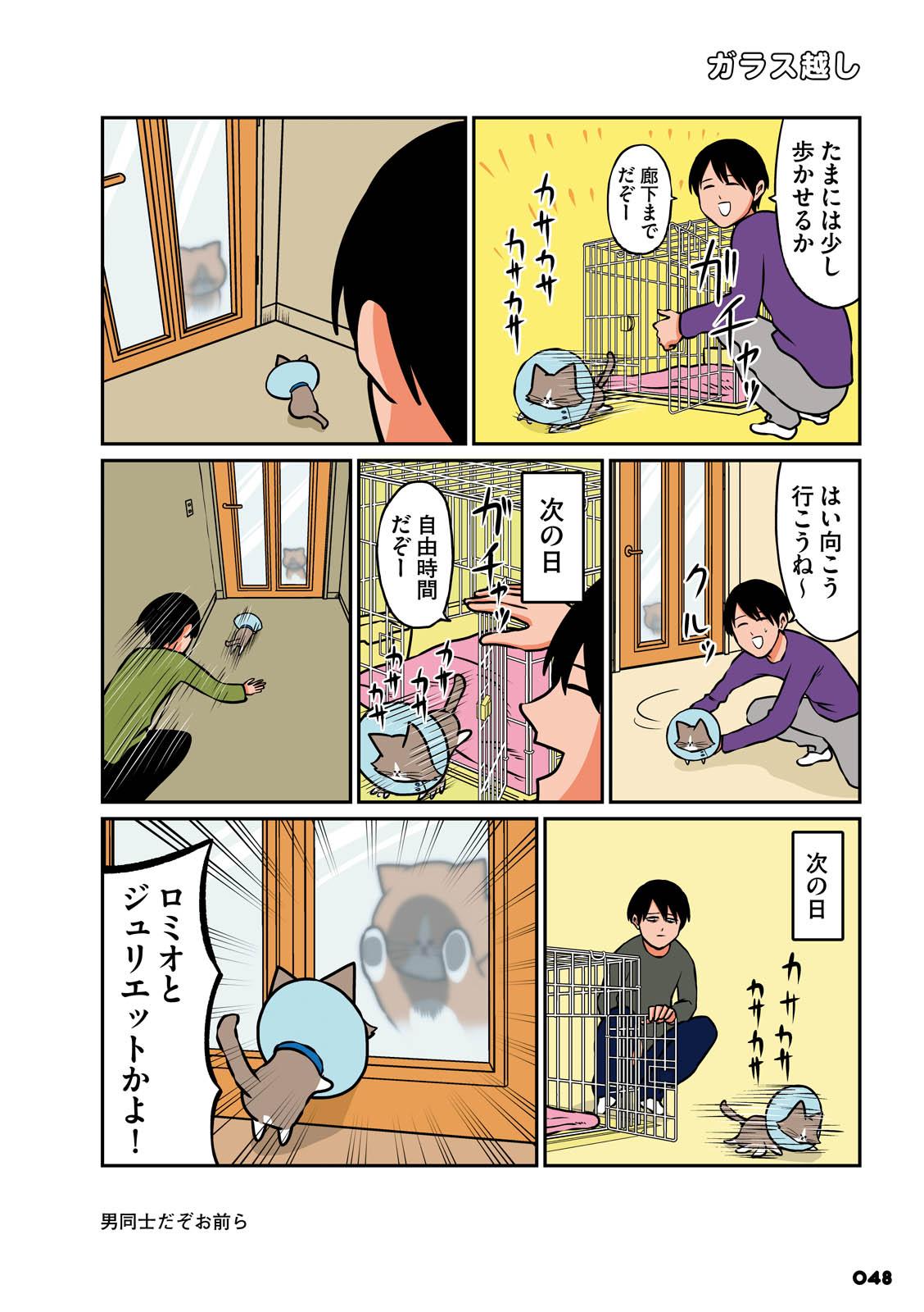 P19