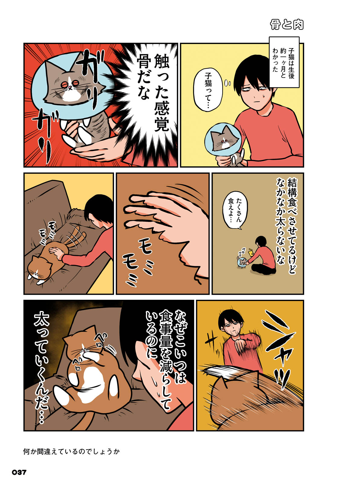 P8
