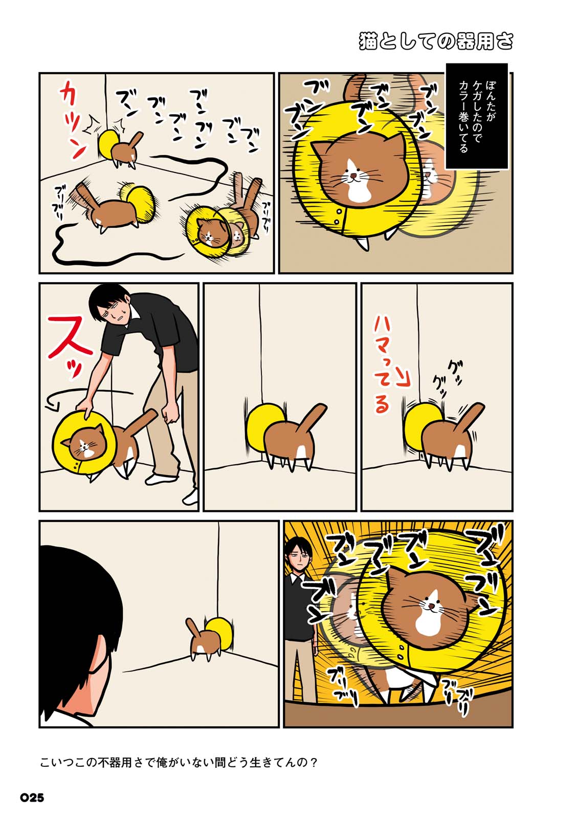 P21