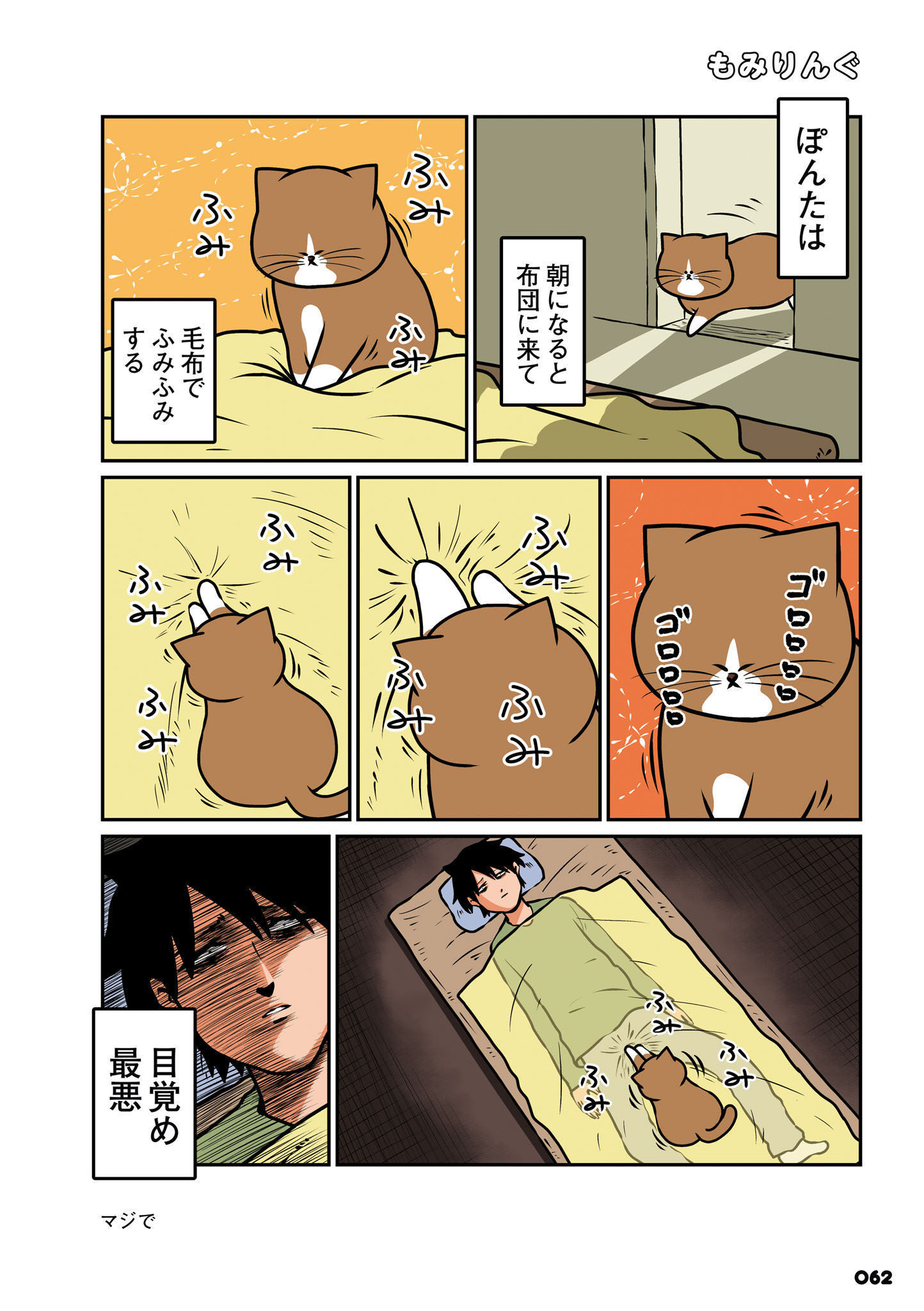 P21