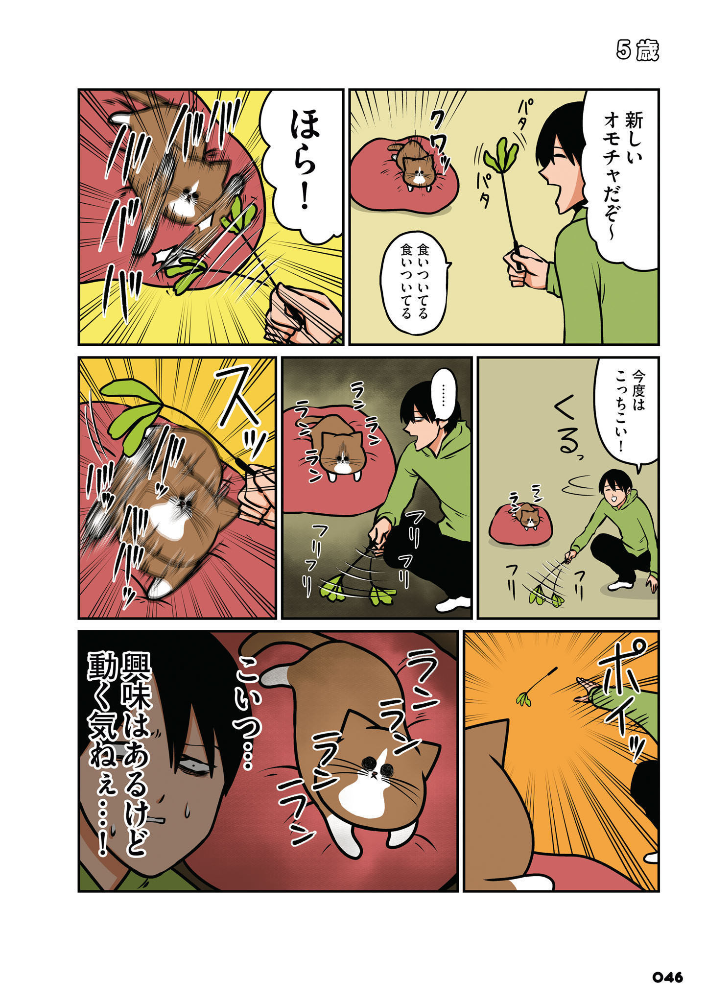 P5