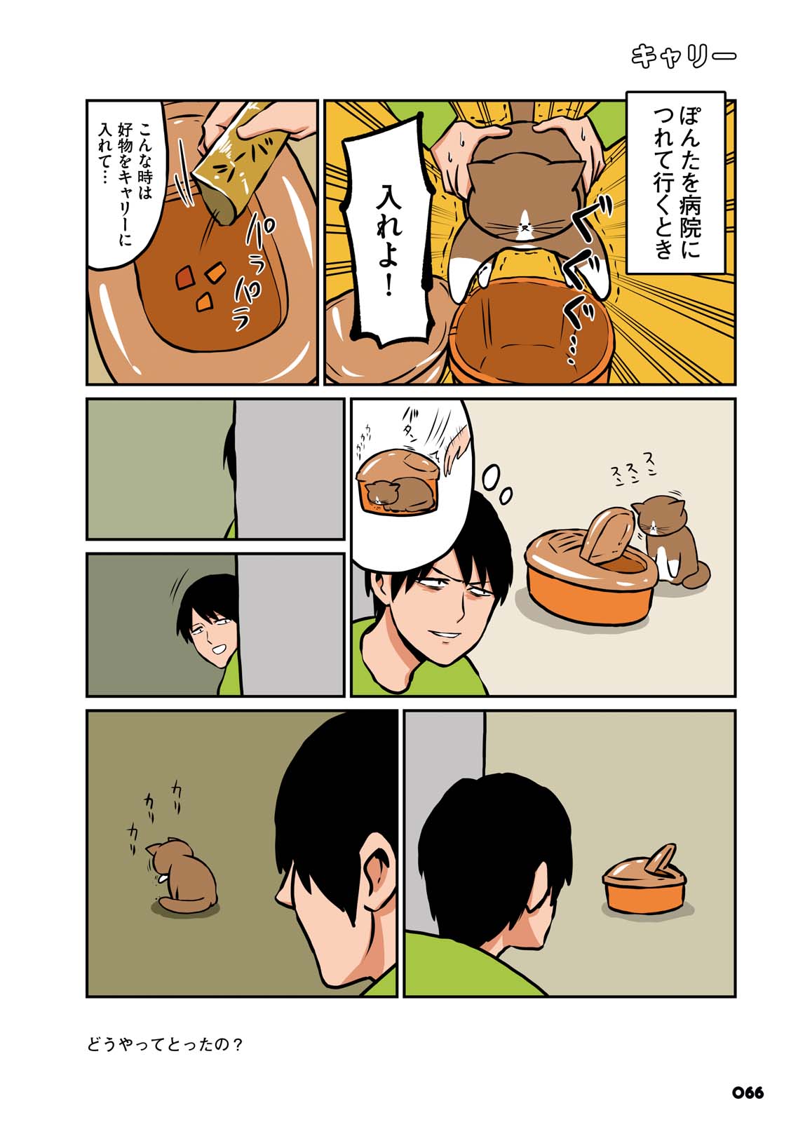 P27