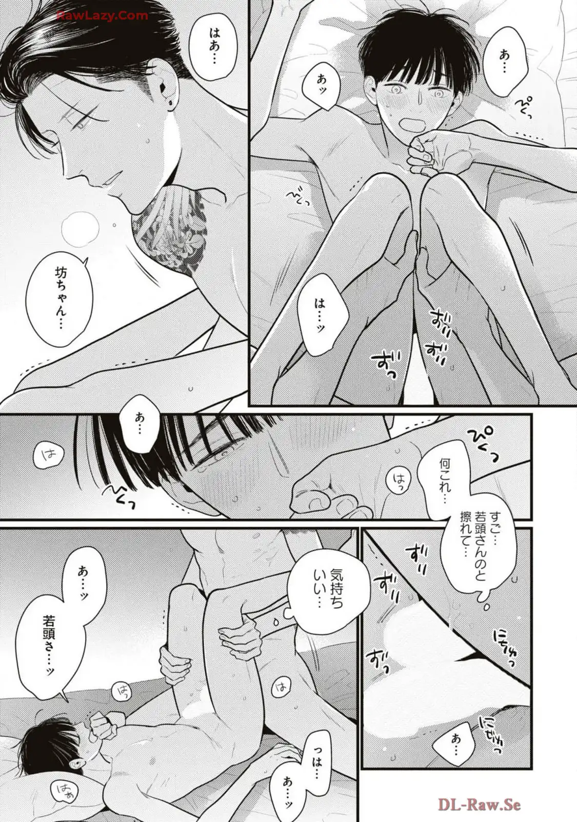 P41