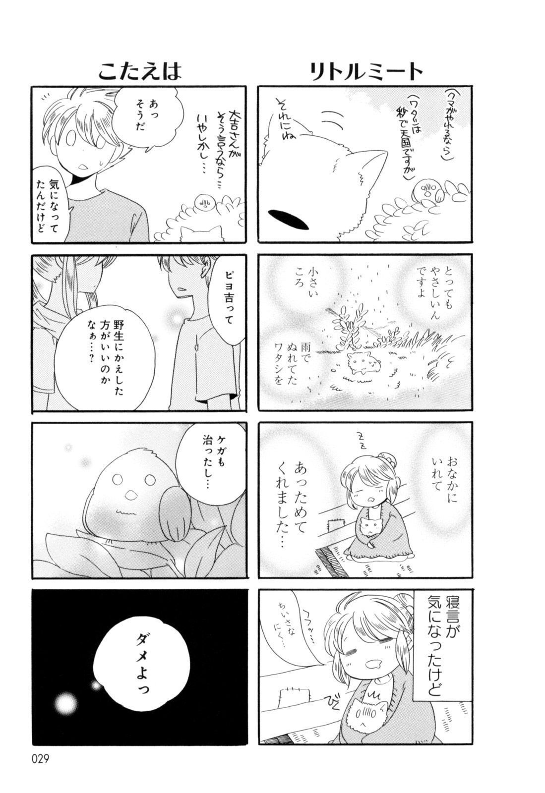 P27