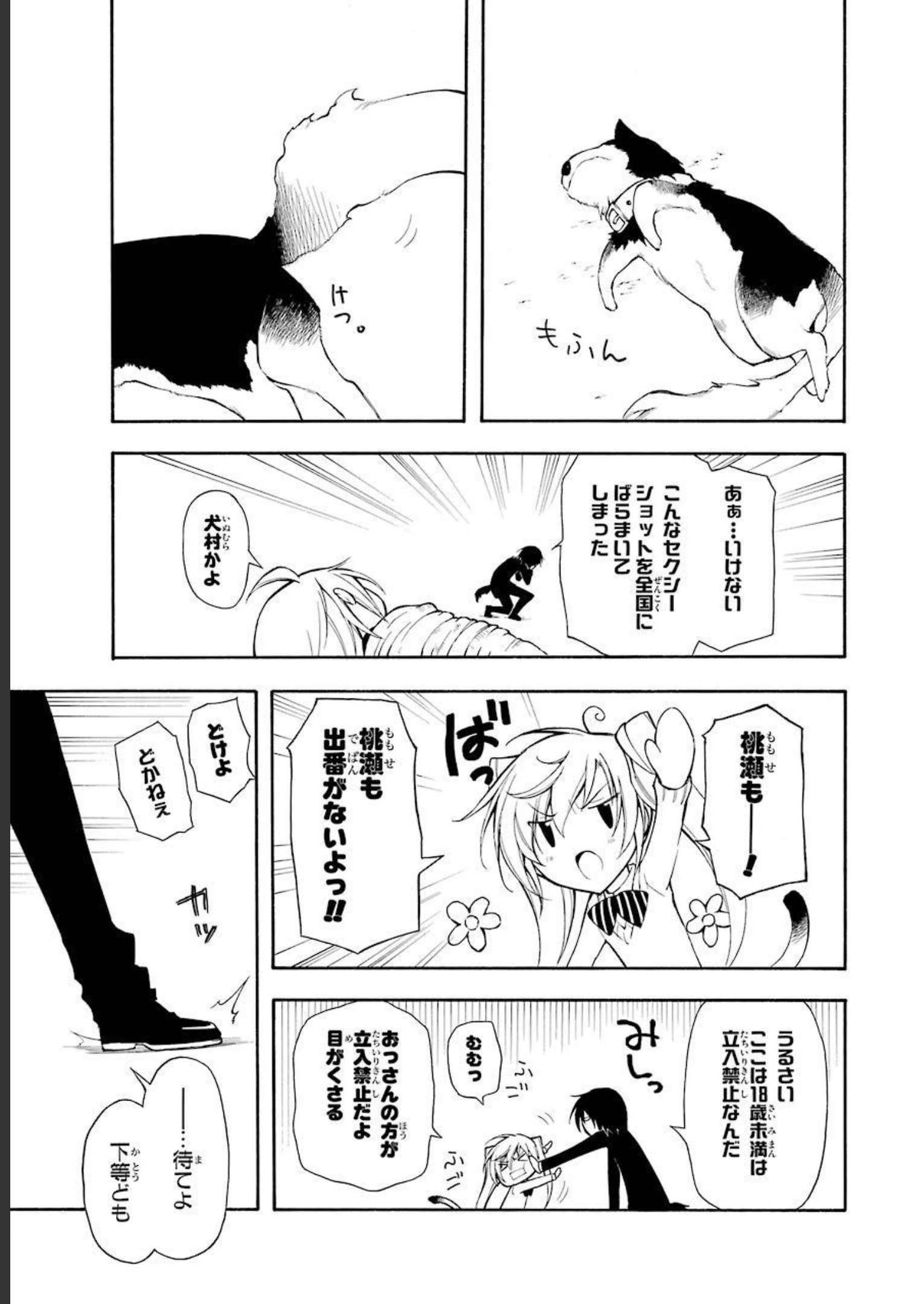 P48
