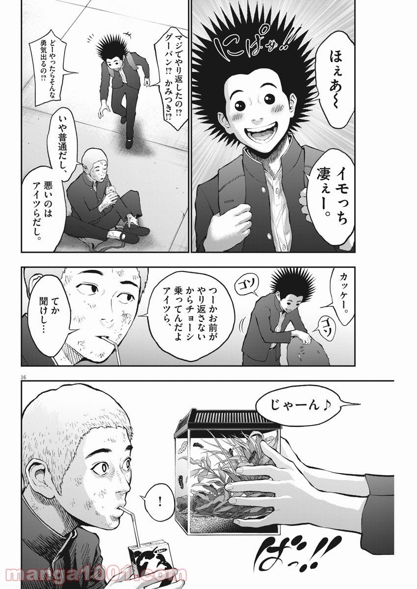 P16