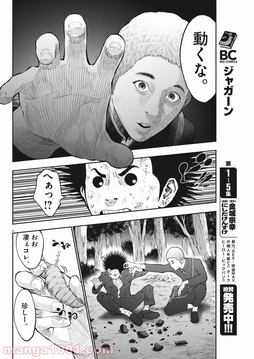 P8