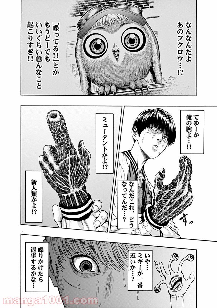 P16