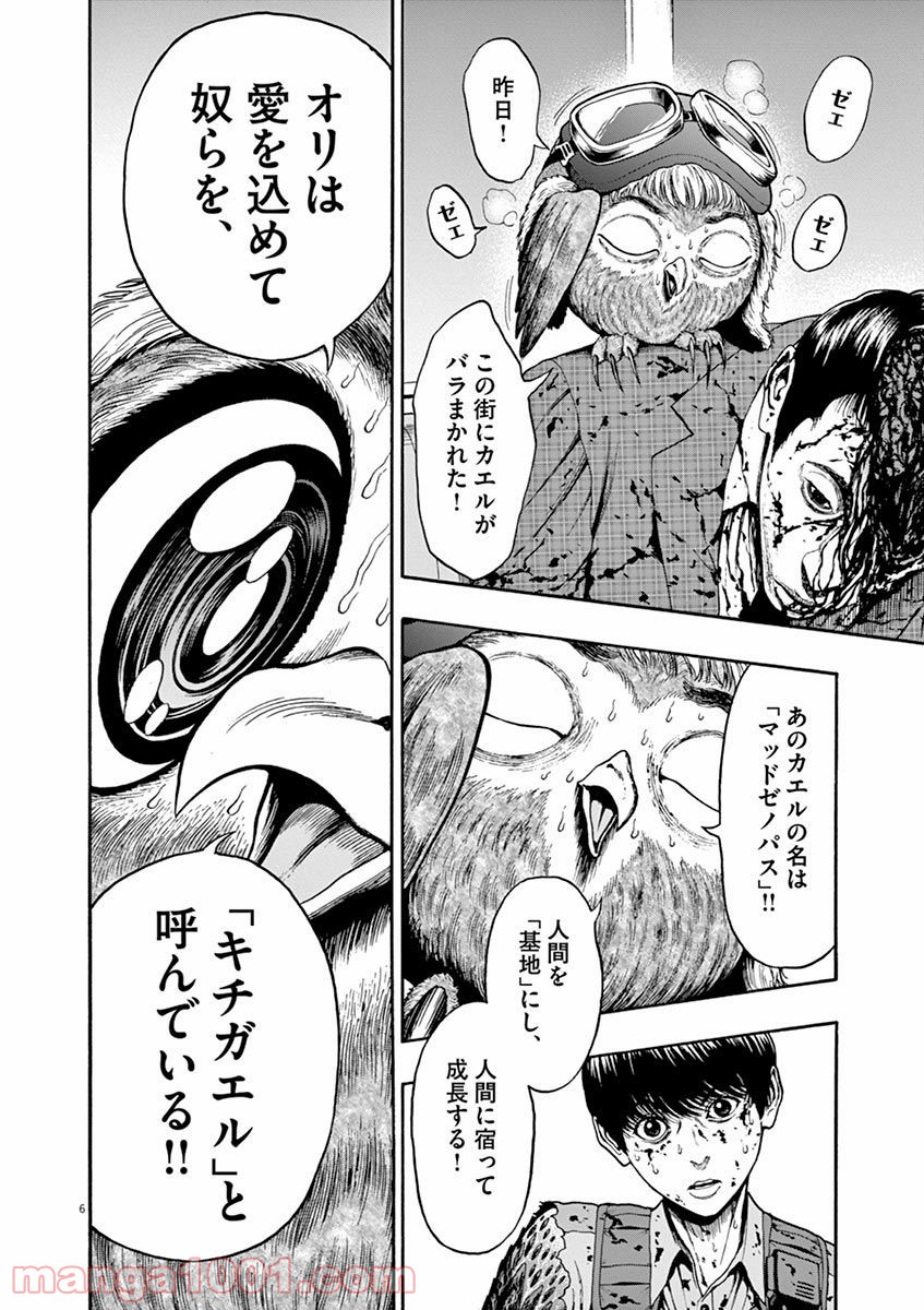 P6