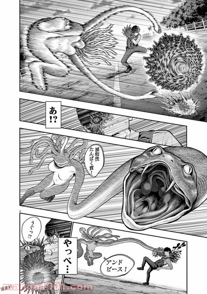P6
