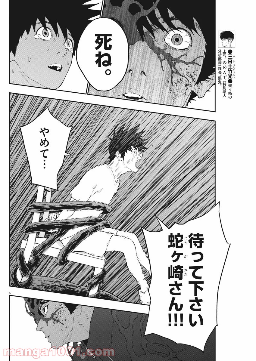 P6