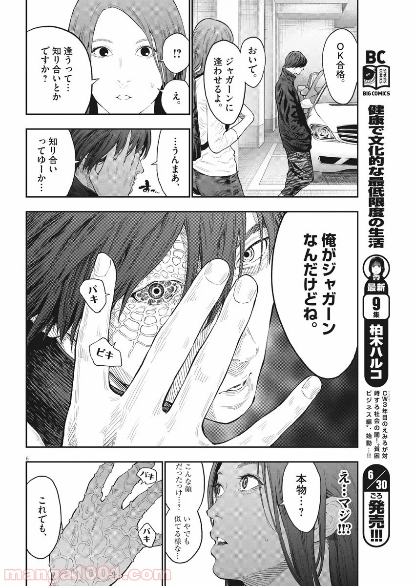P6