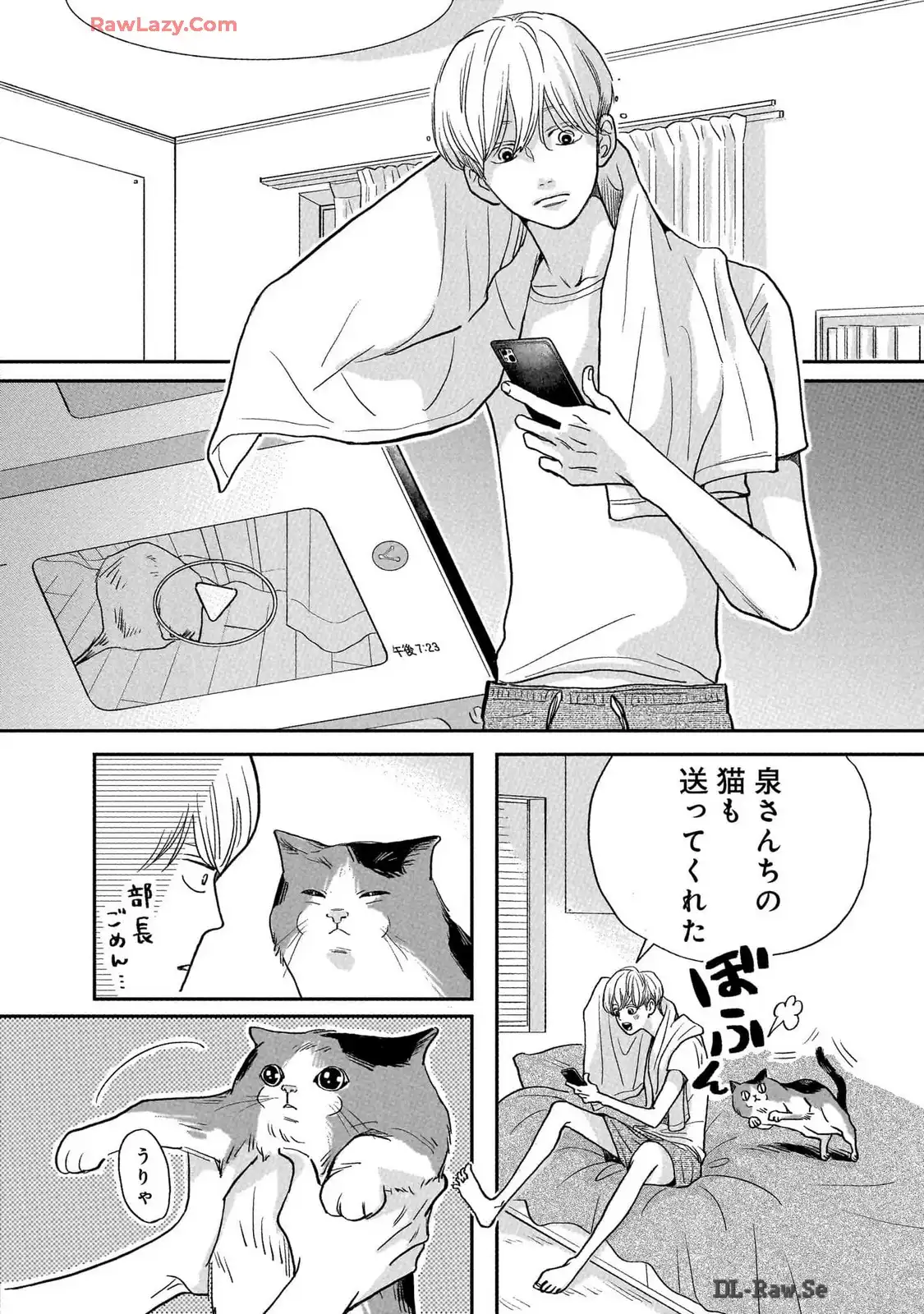 P20