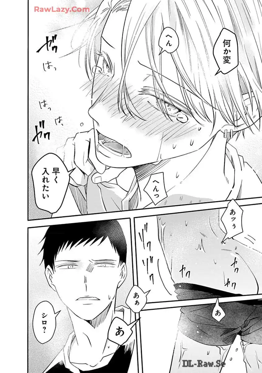 P33