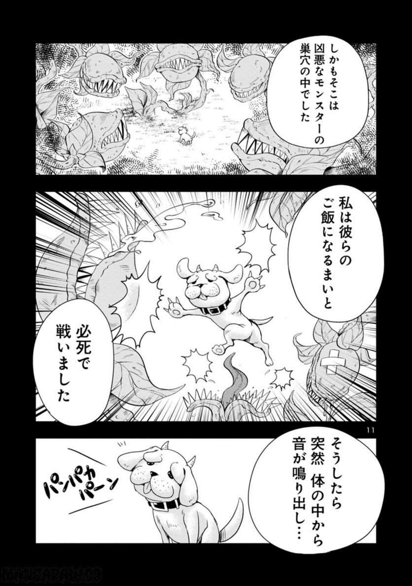 P11
