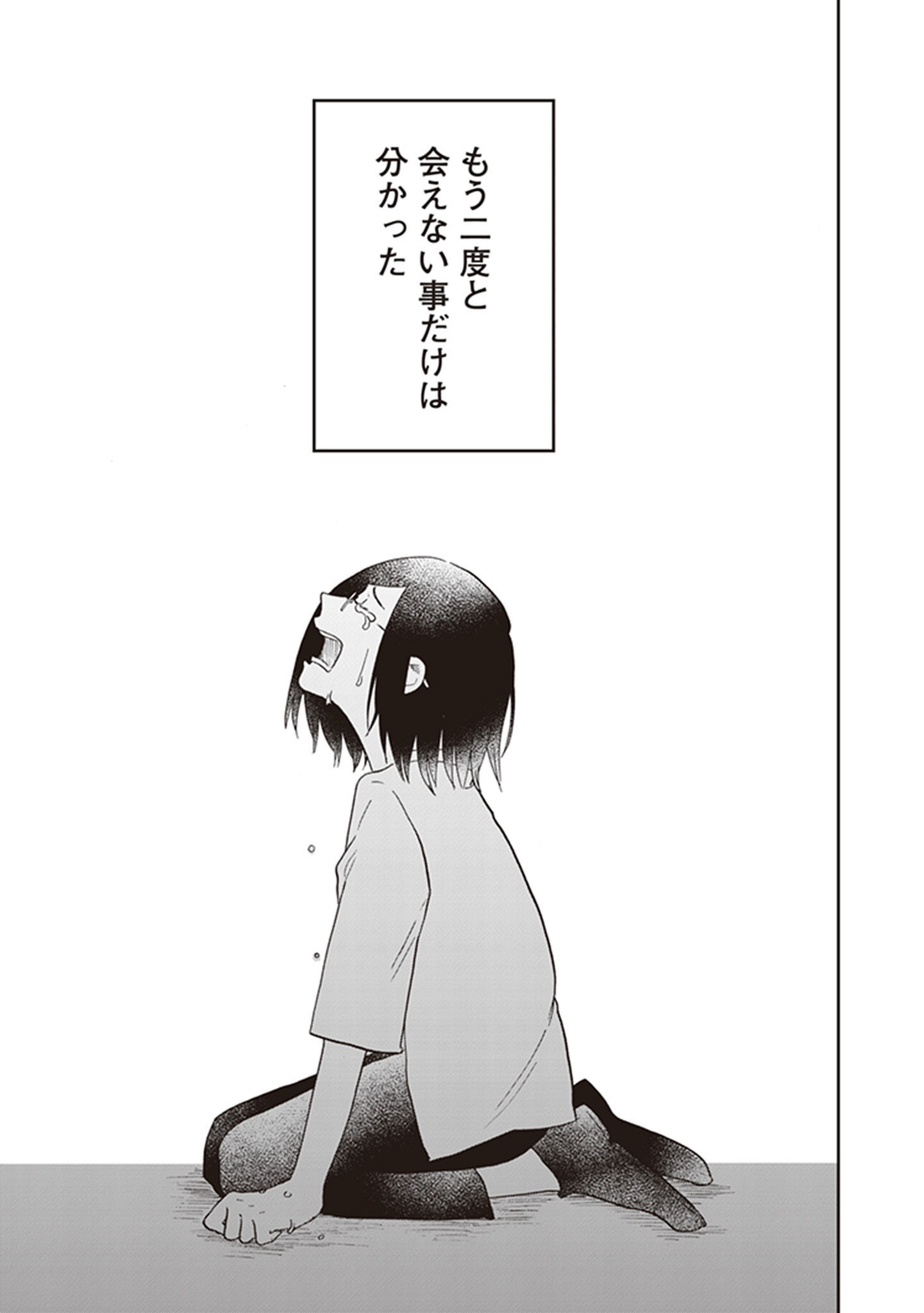 P41